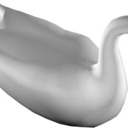 Swan_PA_R.png