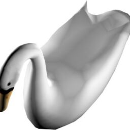 Swan_PA_V.png