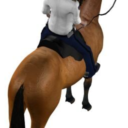 Police horse_PA_A.png