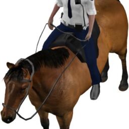 Police horse_PA_V.png