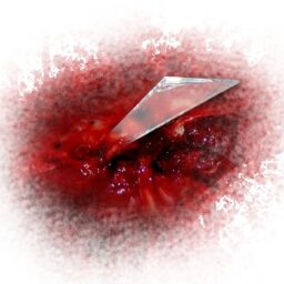 Wound with glass_2.png