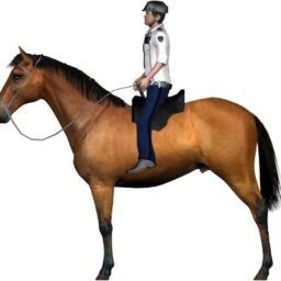 Police horse_ZA_L.png