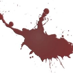 spilled blood.png