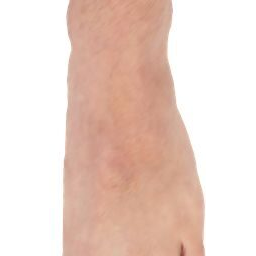 Foot_L.png