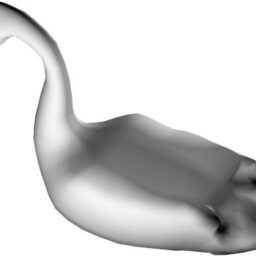 Swan_PA_L.png