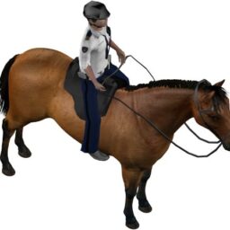 Police horse_PA_R.png