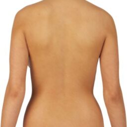 Torso_female_back.png