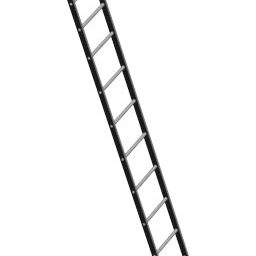 Ladder standing _PA_L.png