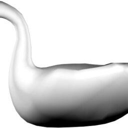 Swan_ZA_L.png