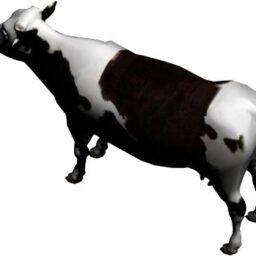 Cow_PA_L.png