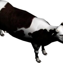 Cow_PA_R.png